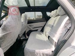 بي واي دي سونغ بلس